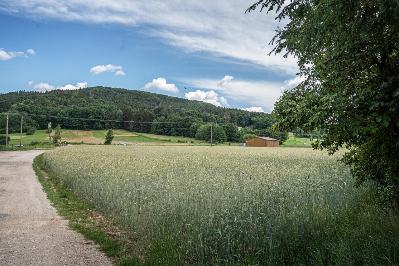 Bleibe Am Moritzberg Daire Haimendorf Dış mekan fotoğraf